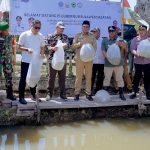 Dukung Kedaulatan Pangan, Bupati Barru bersama Pj Gubernur Sulsel Tebar Benih Ikan Nila 10ribu pada Rangkaian Hari Jadi Kabupaten Barru Ke 64