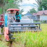 Suardi Saleh Panen Padi Bersama di Desa Lompo Tengah