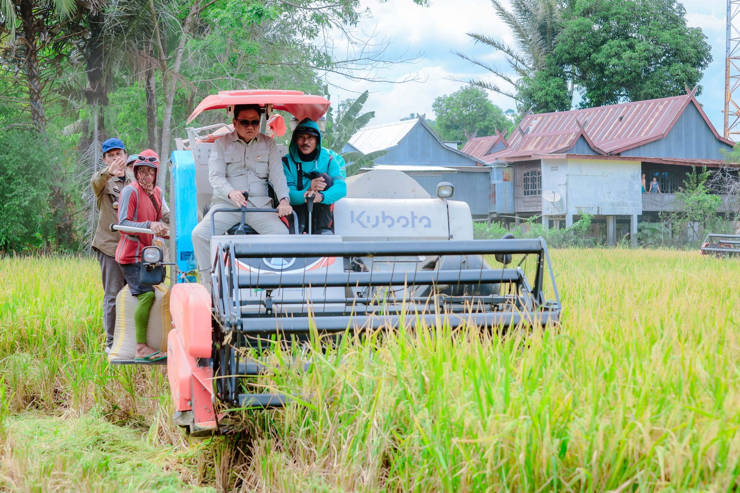 Suardi Saleh Panen Padi Bersama di Desa Lompo Tengah