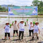 Bupati Barru bersama Staf Ahli Kementan Lakukan Tanam Padi Perdana