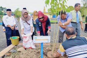 Bupati Barru Tanam Tabe Buya di Alun-Alun, Simbol Penghijauan dan Estetika Kota