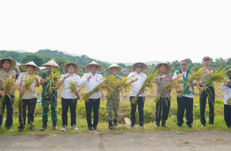 Wabup Barru Ikuti Panen Raya dan Pengumuman Swasembada Pangan Bersama Presiden Prabowo