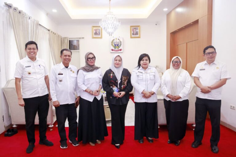 Bupati Barru Temui Wagub Sulsel, Sinergi Potensi Daerah Jadi Kekuatan Ekonomi